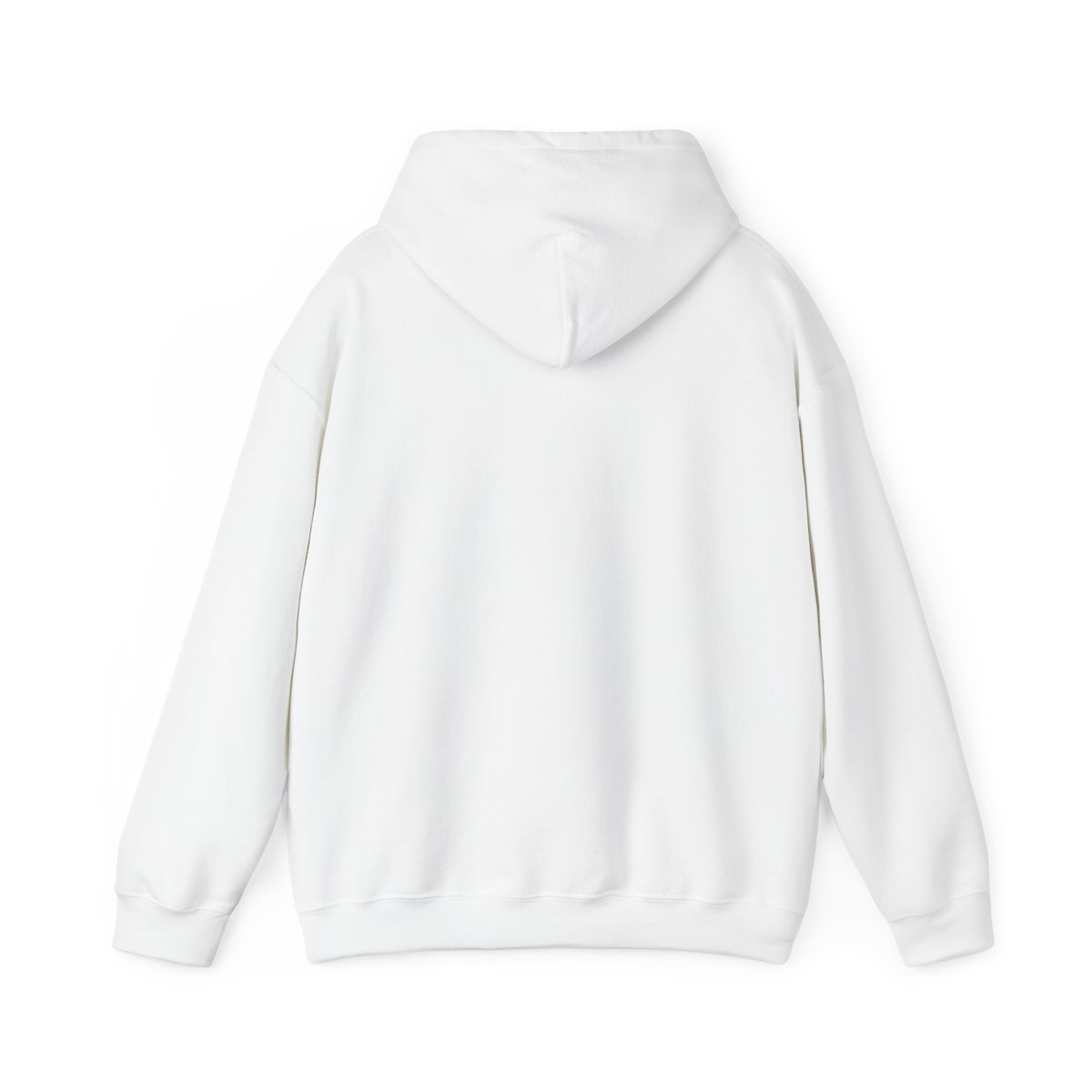 Noah Kahan "It’s a beautiful life, regardless" Hoodie - alternate angle 1, merchandise